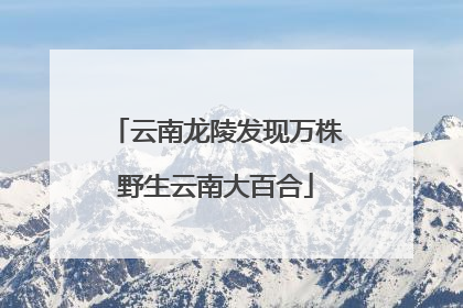 云南龙陵发现万株野生云南大百合
