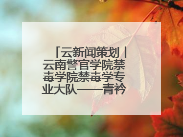 云新闻策划丨云南警官学院禁毒学院禁毒学专业大队——青衿之志辉映警徽