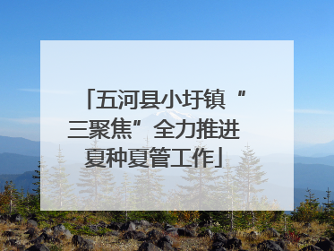 五河县小圩镇“三聚焦”全力推进夏种夏管工作