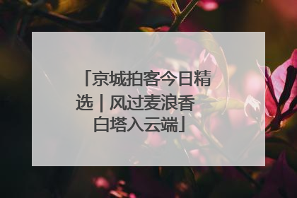京城拍客今日精选｜风过麦浪香 白塔入云端