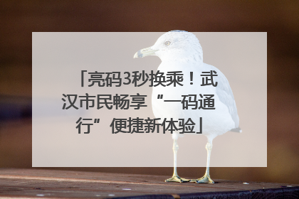 亮码3秒换乘！武汉市民畅享“一码通行”便捷新体验