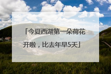 今夏西湖第一朵荷花开啦，比去年早5天
