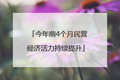 今年前4个月民营经济活力持续提升