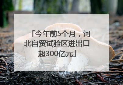 今年前5个月，河北自贸试验区进出口超300亿元