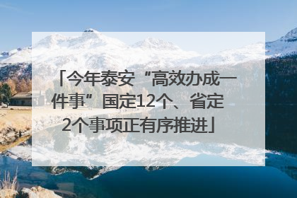 今年泰安“高效办成一件事”国定12个、省定2个事项正有序推进
