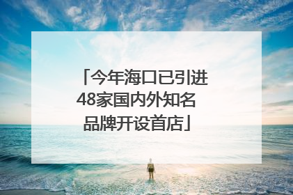 今年海口已引进48家国内外知名品牌开设首店