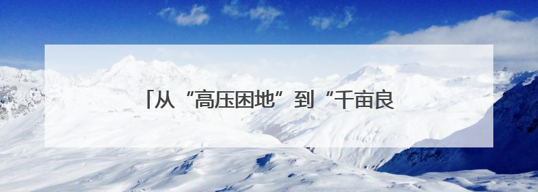 从“高压困地”到“千亩良田”：浙江金华开发区这个地块打造全域整治示范样本