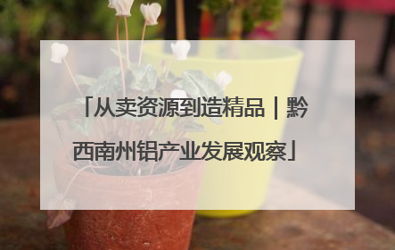 从卖资源到造精品｜黔西南州铝产业发展观察