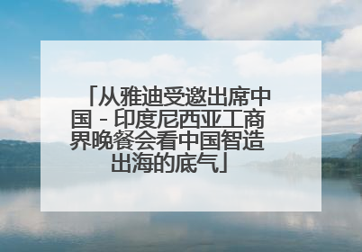 从雅迪受邀出席中国－印度尼西亚工商界晚餐会看中国智造出海的底气