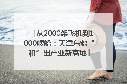 从2000架飞机到1000艘船：天津东疆“租”出产业新高地