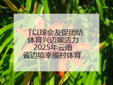 以球会友促团结 体育兴边展活力 2025年云南省边境幸福村体育嘉年华三人篮球赛圆满收官