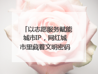 以志愿服务赋能城市IP，网红城市里藏着文明密码｜新京报评论