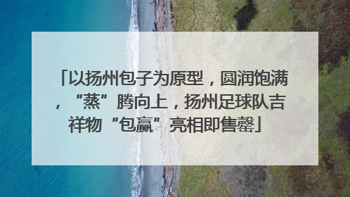 以扬州包子为原型，圆润饱满，“蒸”腾向上，扬州足球队吉祥物“包赢”亮相即售罄