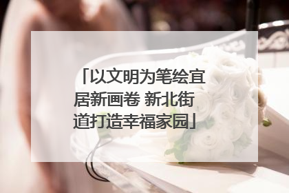 以文明为笔绘宜居新画卷 新北街道打造幸福家园