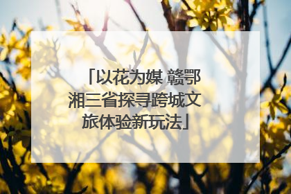 以花为媒 赣鄂湘三省探寻跨城文旅体验新玩法