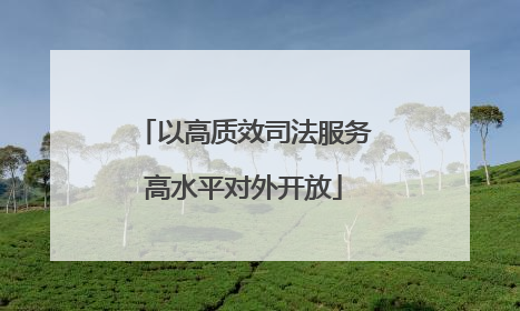 以高质效司法服务高水平对外开放