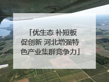 优生态 补短板 促创新 河北增强特色产业集群竞争力