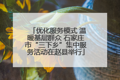 优化服务模式 温暖基层群众 石家庄市“三下乡”集中服务活动在赵县举行