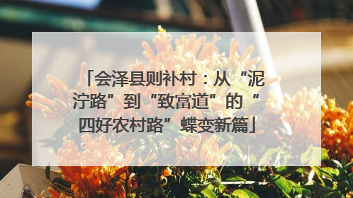 会泽县则补村：从“泥泞路”到“致富道”的“四好农村路”蝶变新篇