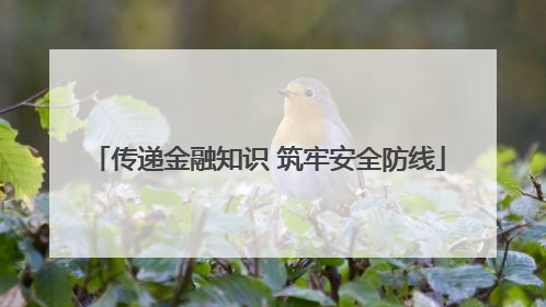 传递金融知识 筑牢安全防线
