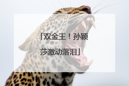 双金王！孙颖莎激动落泪