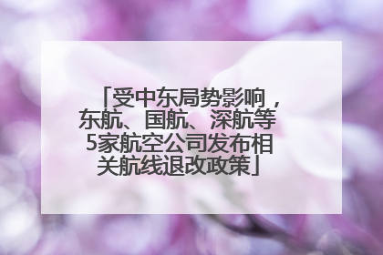 受中东局势影响，东航、国航、深航等5家航空公司发布相关航线退改政策