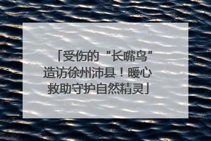 受伤的“长嘴鸟”造访徐州沛县！暖心救助守护自然精灵