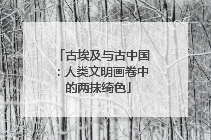 古埃及与古中国：人类文明画卷中的两抹绮色