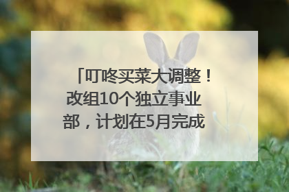 叮咚买菜大调整！改组10个独立事业部，计划在5月完成App端全面改版