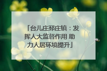 台儿庄邳庄镇：发挥人大监督作用 助力人居环境提升