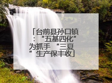 台前县孙口镇：“五基四化”为抓手 “三夏”生产保丰收