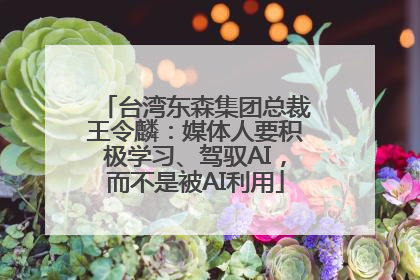 台湾东森集团总裁王令麟：媒体人要积极学习、驾驭AI，而不是被AI利用
