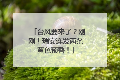 台风要来了？刚刚！瑞安连发两条黄色预警！