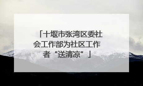 十堰市张湾区委社会工作部为社区工作者“送清凉”
