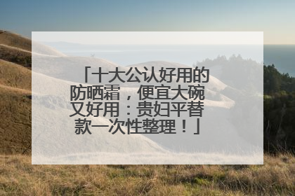 十大公认好用的防晒霜，便宜大碗又好用：贵妇平替款一次性整理！