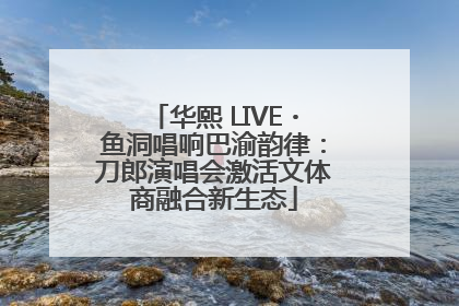 华熙 LIVE・鱼洞唱响巴渝韵律：刀郎演唱会激活文体商融合新生态