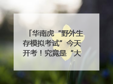 华南虎“野外生存模拟考试”今天开考！究竟是“大猫” 还是顶级猎食者？