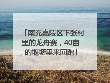 南充嘉陵区下张村里的龙舟赛，40亩的堰塘里来回跑
