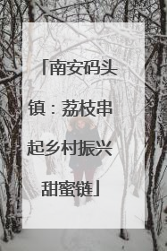 南安码头镇：荔枝串起乡村振兴甜蜜链