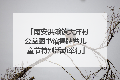 南安洪濑镇大洋村公益图书馆揭牌暨儿童节特别活动举行