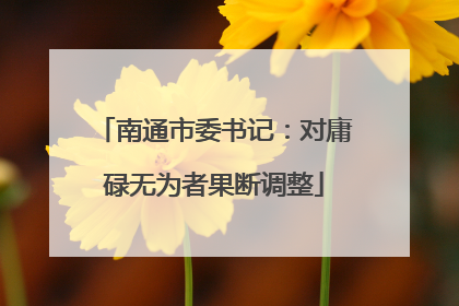 南通市委书记：对庸碌无为者果断调整