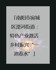 南阳市宛城区溧河街道：特色产业激活乡村振兴“一池春水”