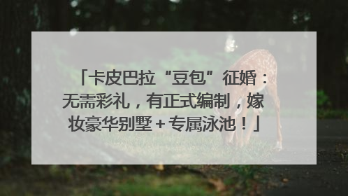 卡皮巴拉“豆包”征婚：无需彩礼，有正式编制，嫁妆豪华别墅＋专属泳池！
