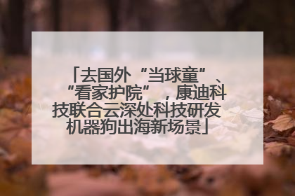 去国外“当球童”、“看家护院”，康迪科技联合云深处科技研发机器狗出海新场景