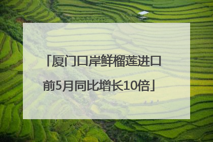 厦门口岸鲜榴莲进口 前5月同比增长10倍