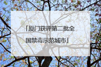 厦门获评第二批全国禁毒示范城市