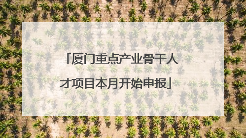 厦门重点产业骨干人才项目本月开始申报