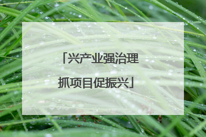 兴产业强治理 抓项目促振兴