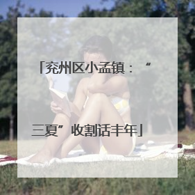 兖州区小孟镇：“三夏”收割话丰年
