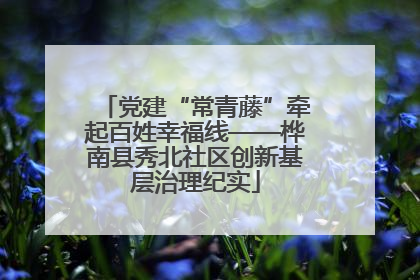 党建“常青藤”牵起百姓幸福线——桦南县秀北社区创新基层治理纪实